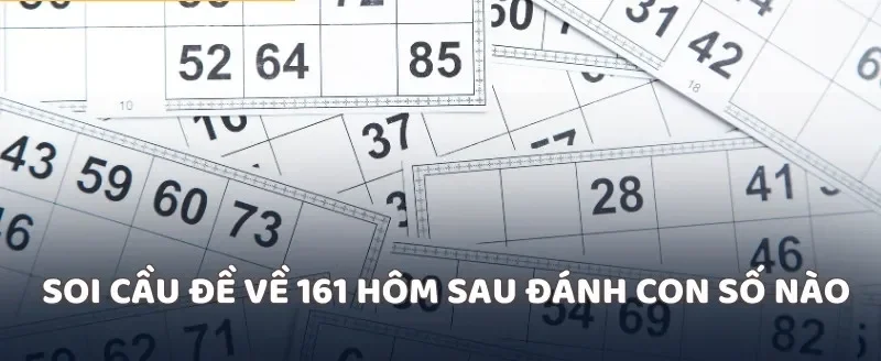 Soi cầu đề về 161 hôm sau đánh con số nào